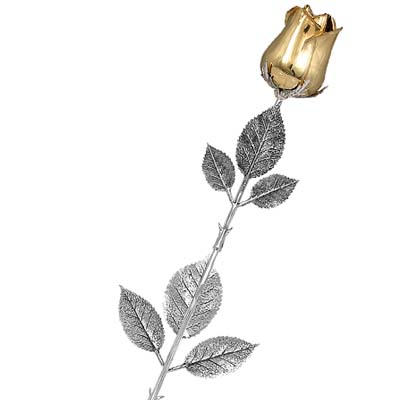 Cornici in argento: Rosa Dallas Dorata Aperta in Astuccio cm.48