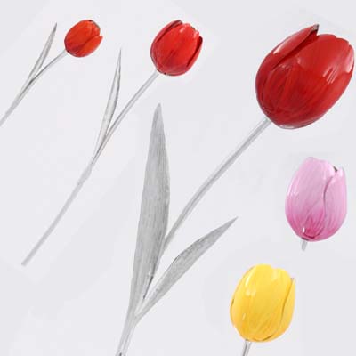 Cornici in argento: Tulipano Smalto in Astuccio cm.12