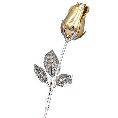 Cornici in argento: Rosa Dallas Bocciolo Dorato Chiuso Argento L.cm.25